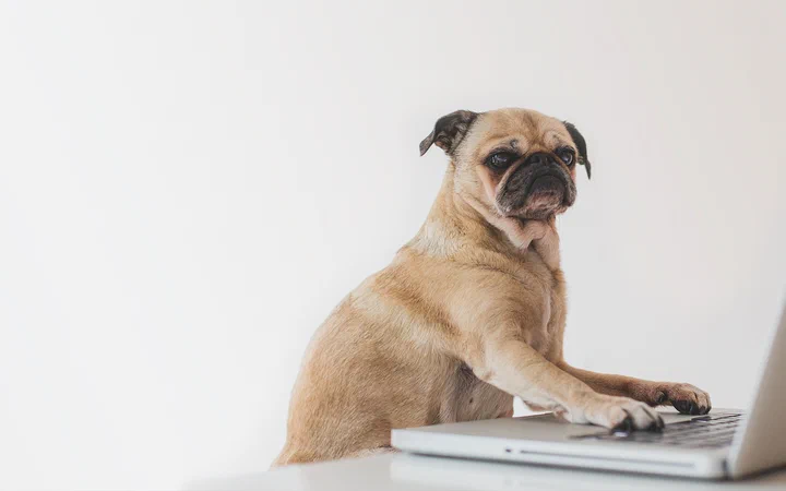 How to work for a boss you don't respect